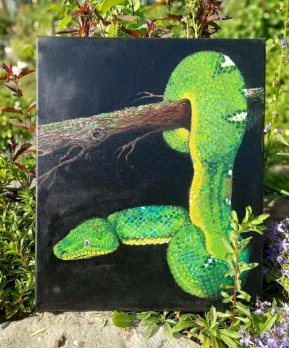 Boa Schlange neu, handgemalt