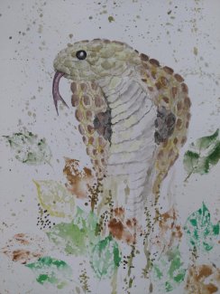 Schlange Kobra Aquarelle handgema;t - Gratisinserat.ch