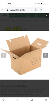 Umzugskarton/Zügelbox