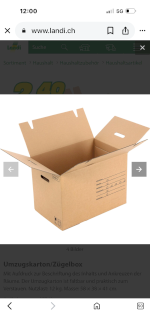 Umzugskarton/Zügelbox