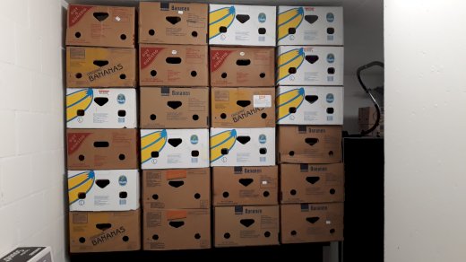 Bananenschachteln Umzugskarton - Gratisinserat.ch