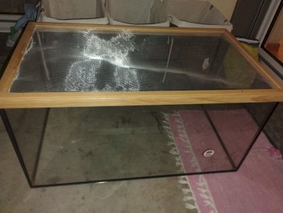 Terrarium aus Glas zum verkaufen
