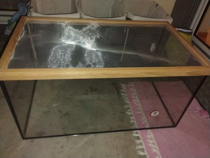Terrarium aus Glas zum verkaufen