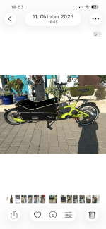 eBike Cargoline