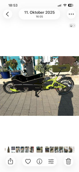 eBike Cargoline