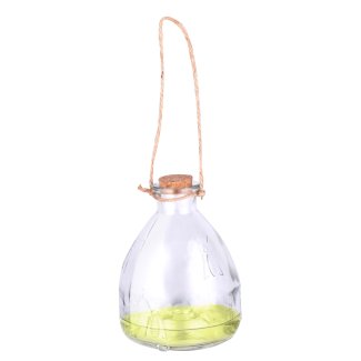 Wespenfalle Glas