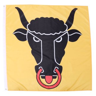 Kantonsflagge Uri 120 x 120 cm
