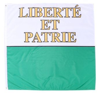 Kantonsflagge Waadt 120 x 120 cm