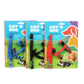 Geschirr und Leine für Welpen und Katzen