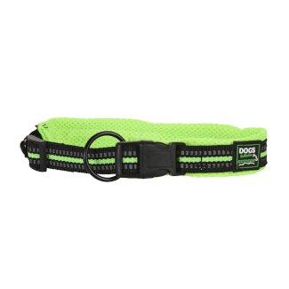 Hundehalsband 30 - 45 cm