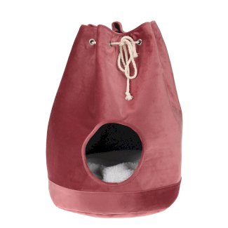 Katzenhaus Seesack - Gratisinserat.ch