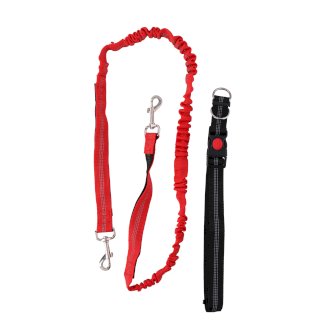 Joggingleine mit Bauchgurt 160 - 190 cm - Gratisinserat.ch