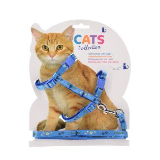 Katzengeschirr mit Leine